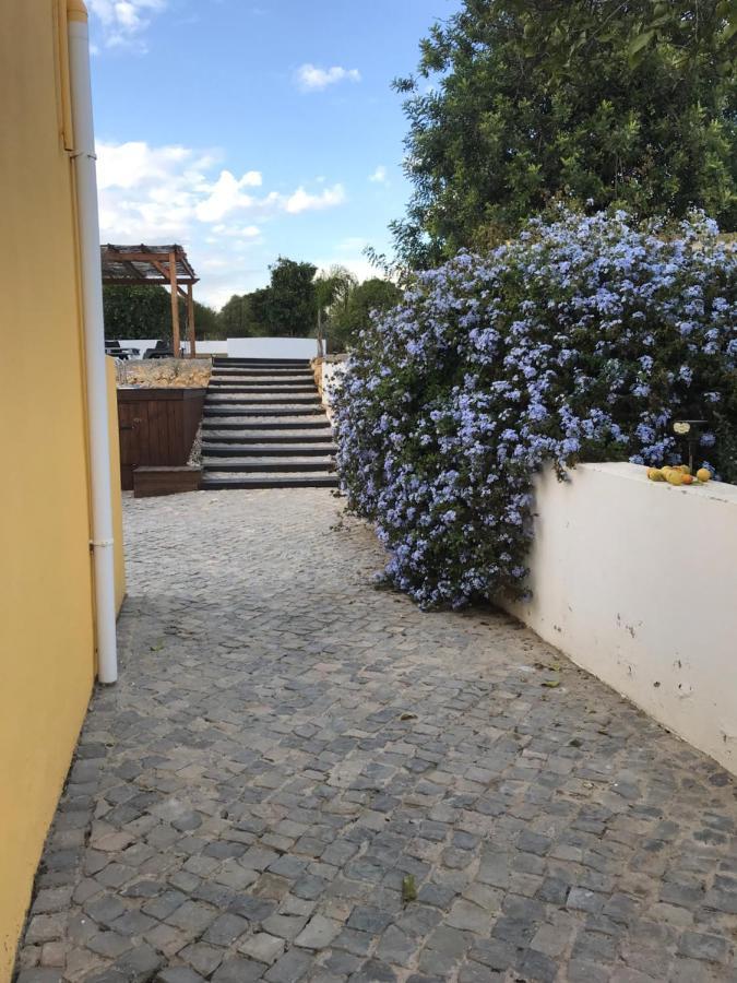 Вілла Quinta Da Layla Олян Екстер'єр фото