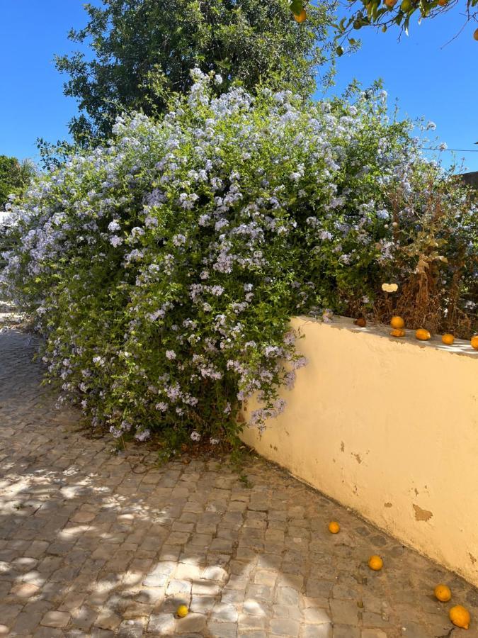 Вілла Quinta Da Layla Олян Екстер'єр фото
