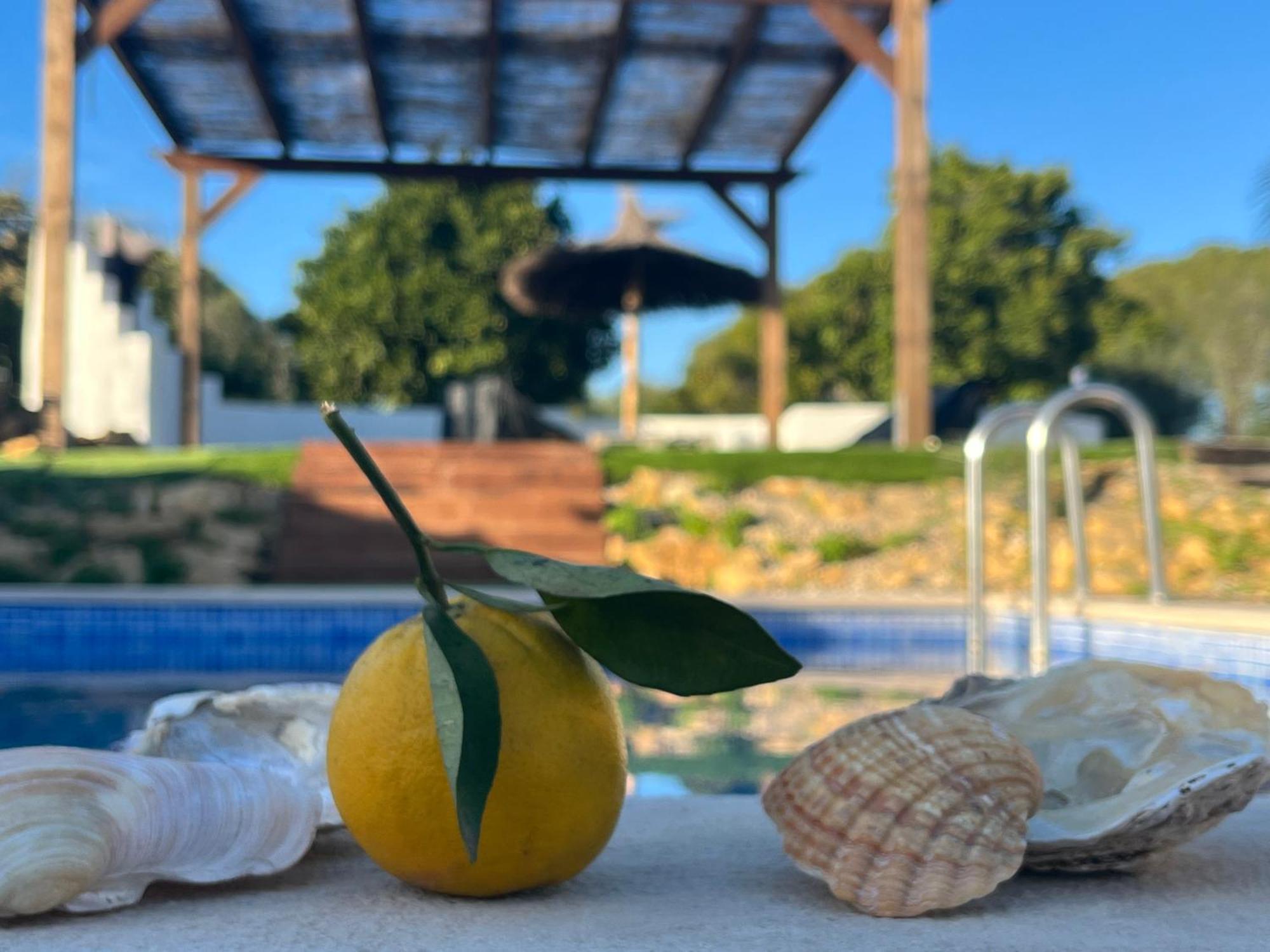 Вілла Quinta Da Layla Олян Екстер'єр фото